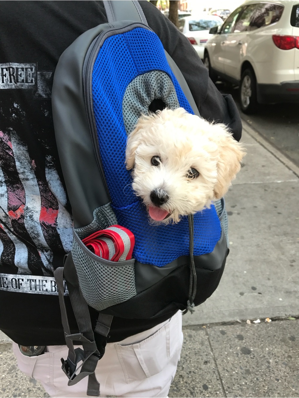 Blue Dog Sling Carrier Backpack - Comfortable Pet Travel Bag